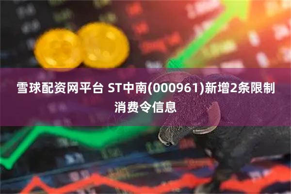雪球配资网平台 ST中南(000961)新增2条限制消费令信息
