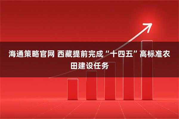海通策略官网 西藏提前完成“十四五”高标准农田建设任务