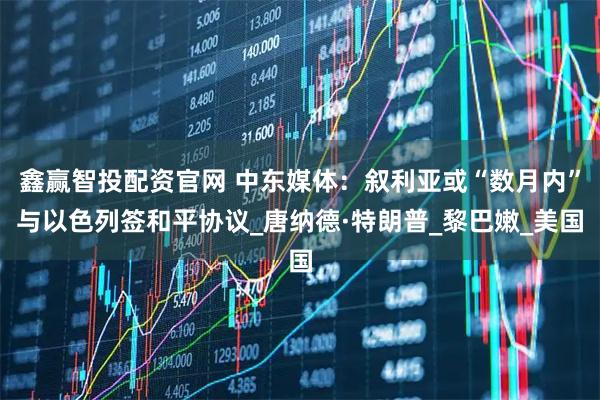 鑫赢智投配资官网 中东媒体：叙利亚或“数月内”与以色列签和平协议_唐纳德·特朗普_黎巴嫩_美国