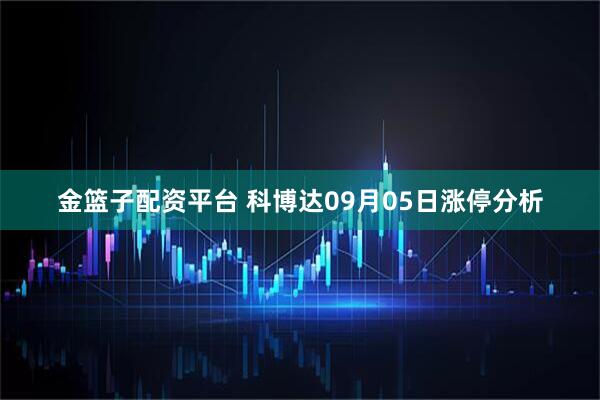 金篮子配资平台 科博达09月05日涨停分析